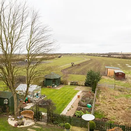 Bed & Breakfast Willow House *